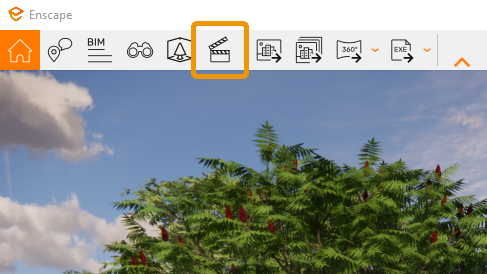 Location of the Enscape Video Editor button